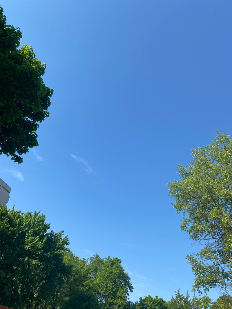 walking near me in South Park in winter