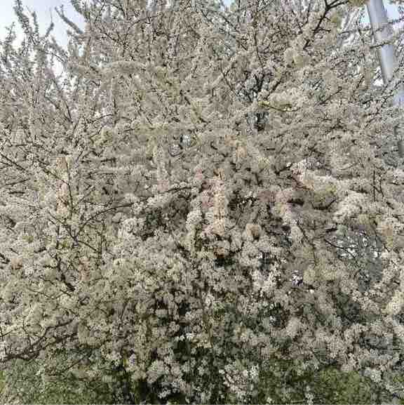 Виктория post 1