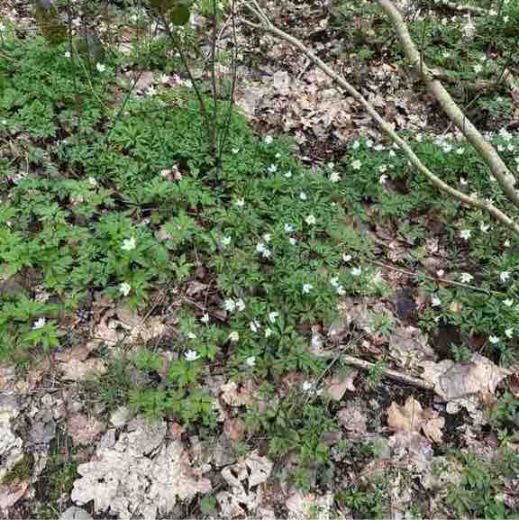 Виктория post 3