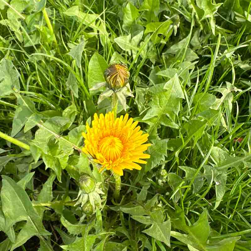 Виктория post 2