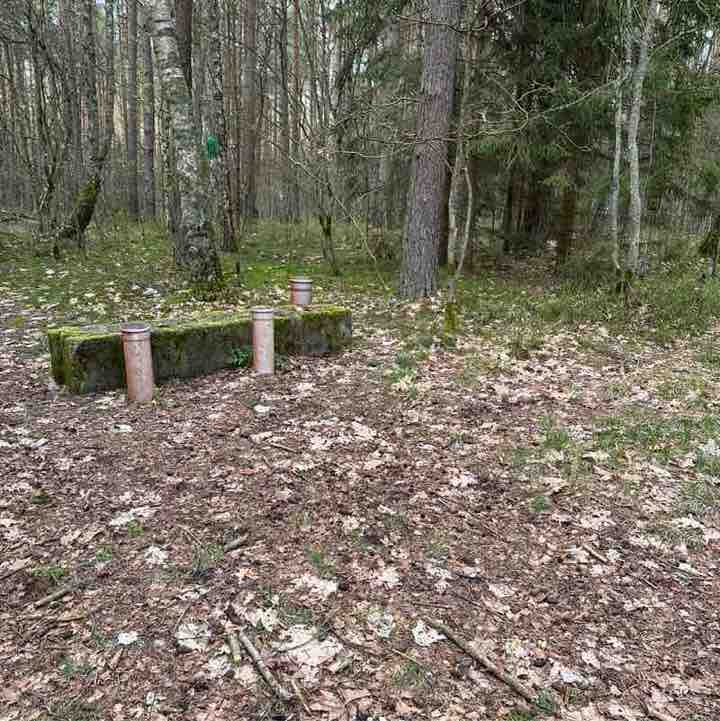 Виктория post 2