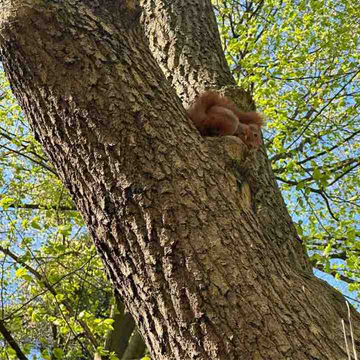 Виктория post 2