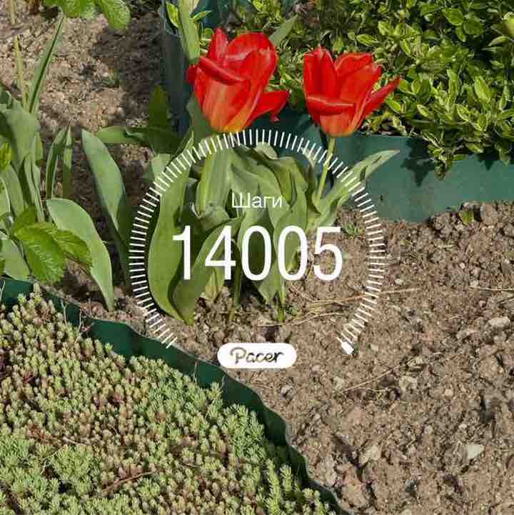 Виктория post 1