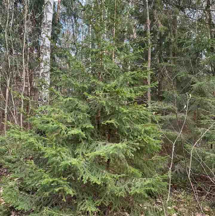 Виктория post 1