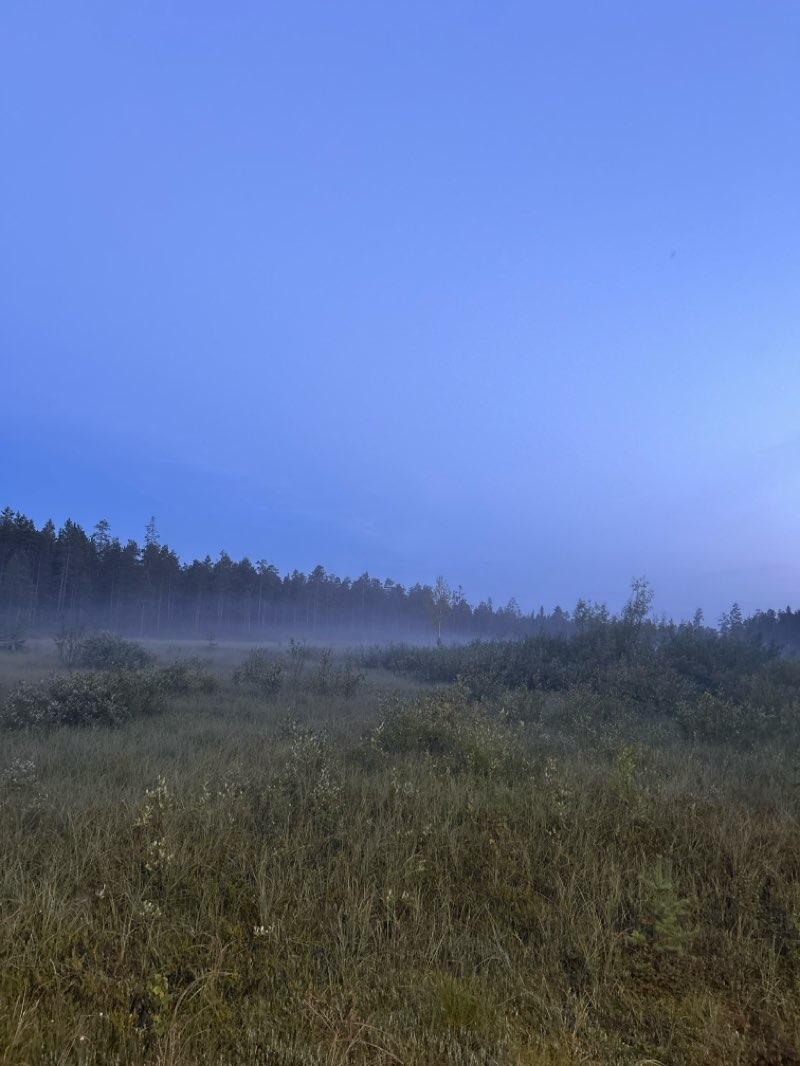 walking near me in Лесопарк Тропа здоровья in autumn