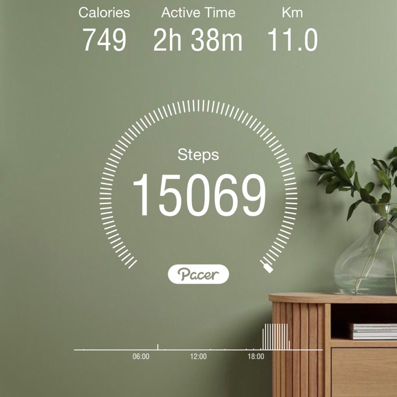 𝐘𝐚𝐫𝐚 post 1