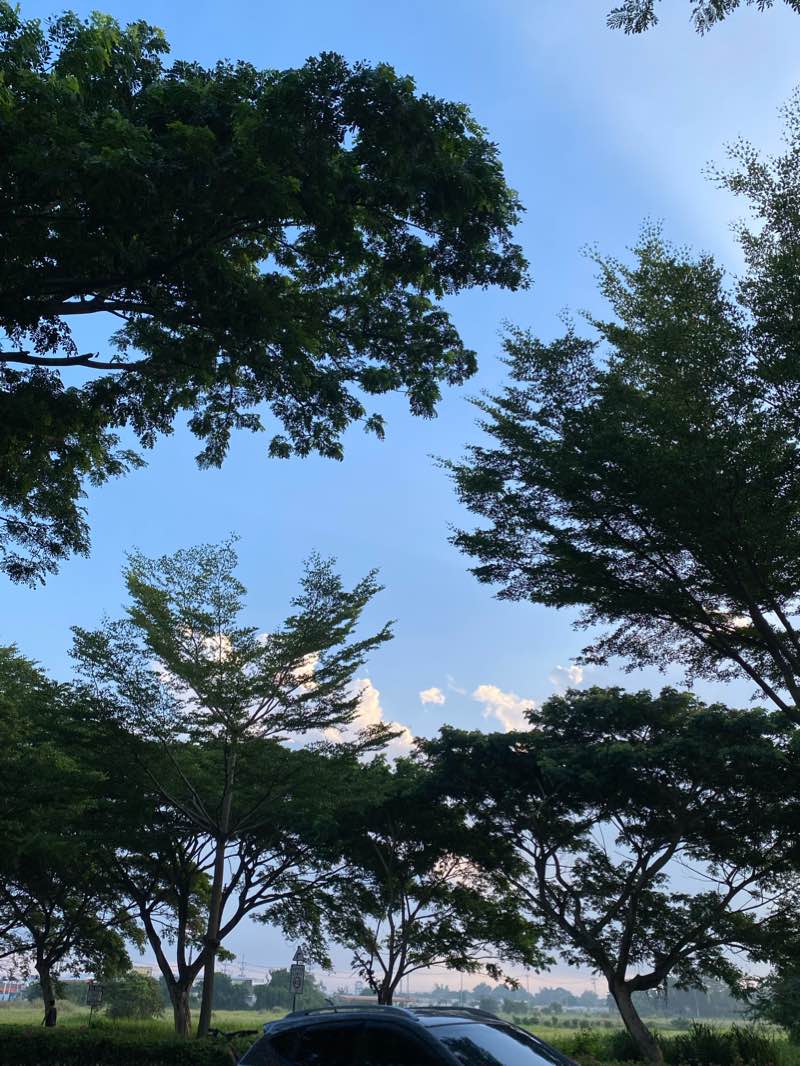 walking near me in Lancaster Estates Model Houses in winter