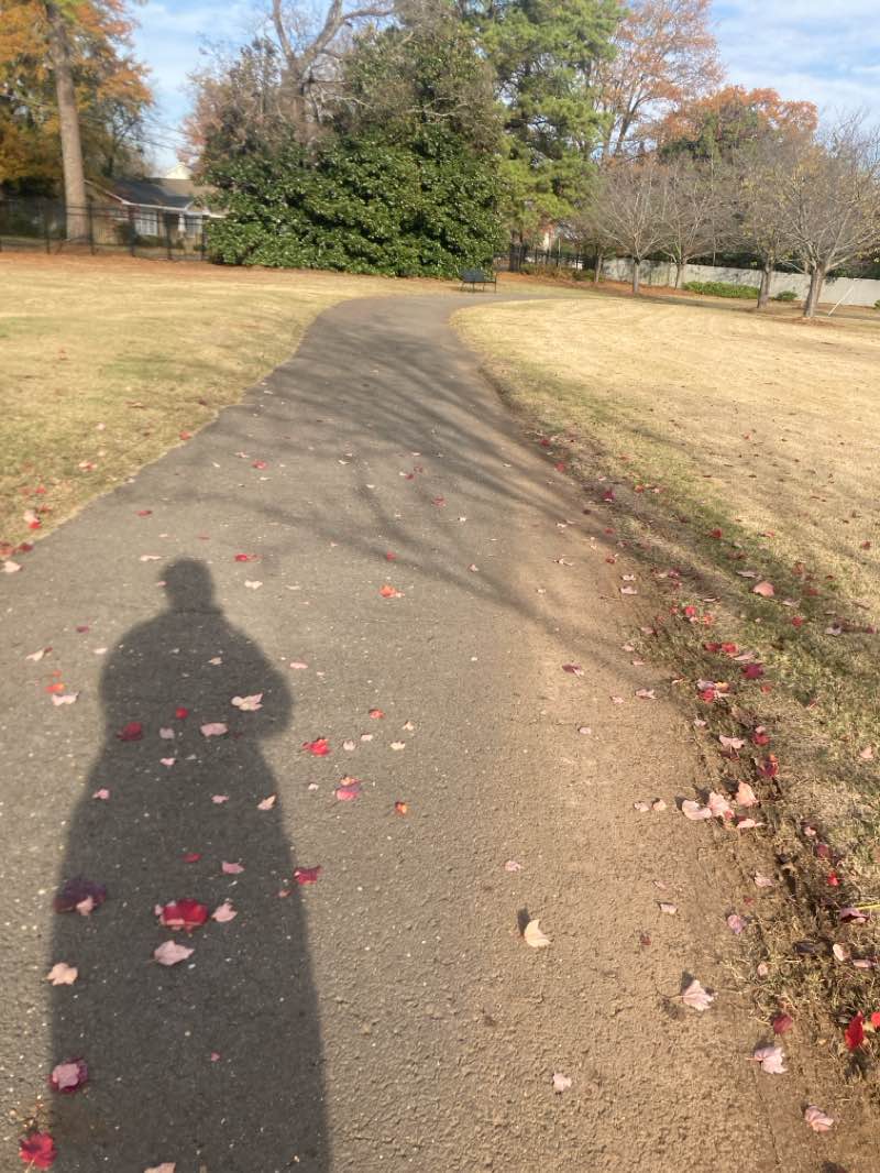 walking near me in Annette M. Shelby Park in winter