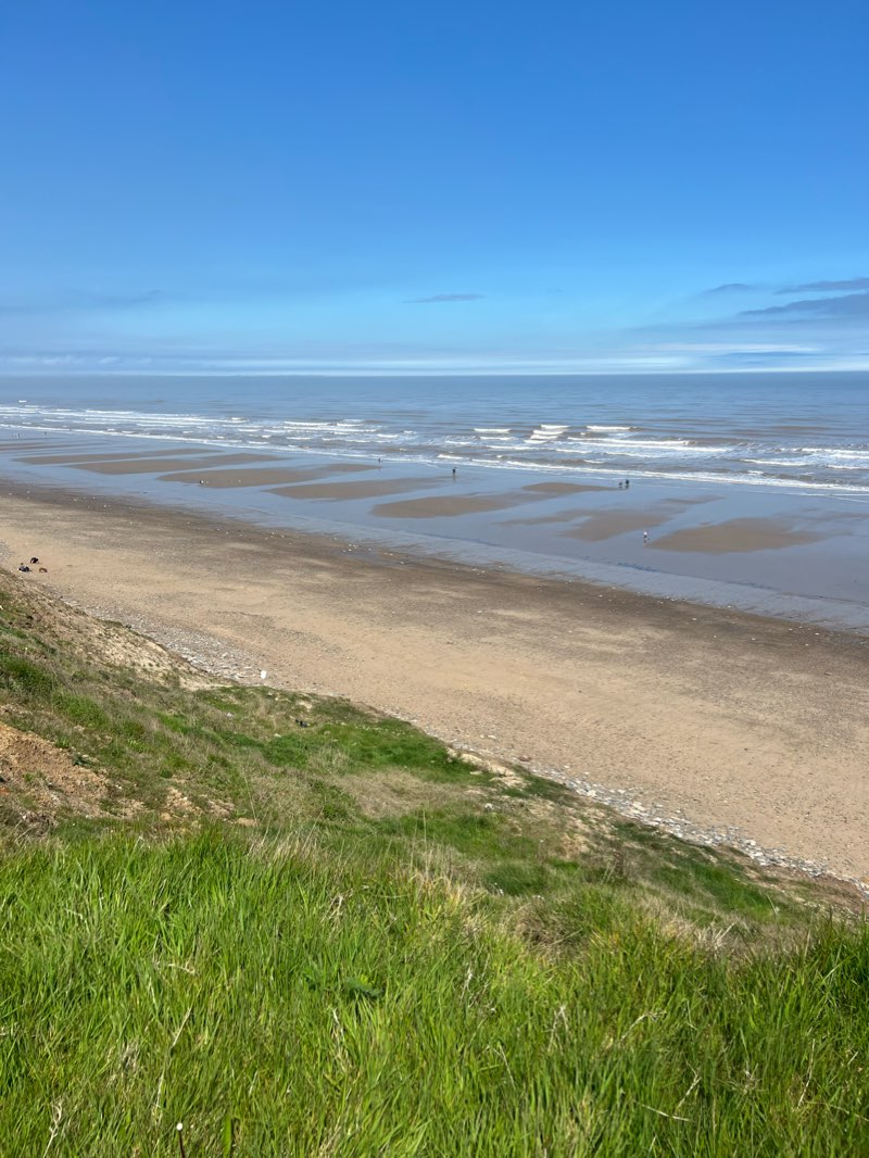 walking near me in Hall Garth Park in winter