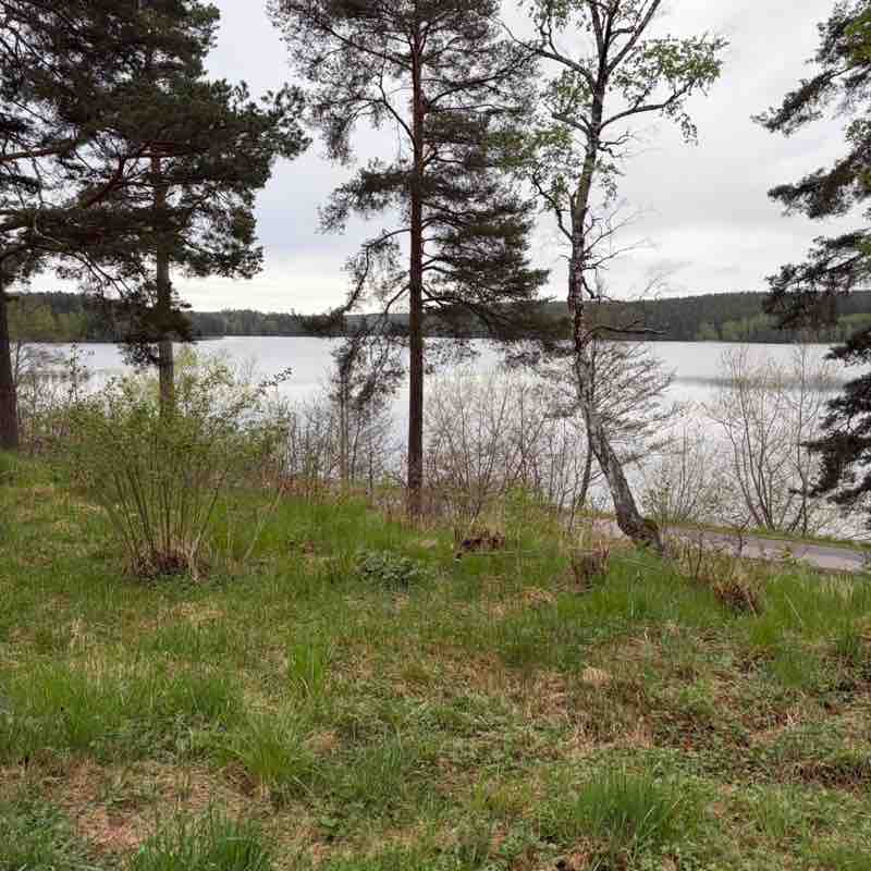 Latmaskarna Liselotte post image
