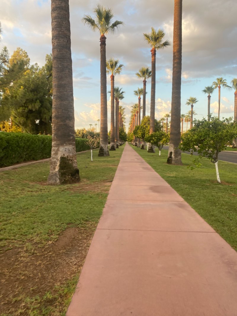 walking near me in Turtle Park in winter
