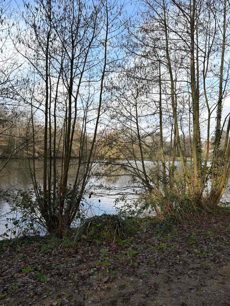 walking near me in Whiteknights Park in winter