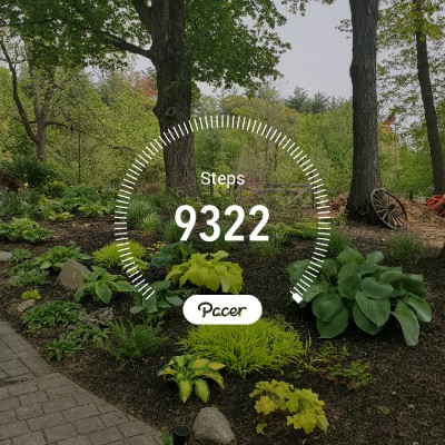 nutritivefitnes post 1