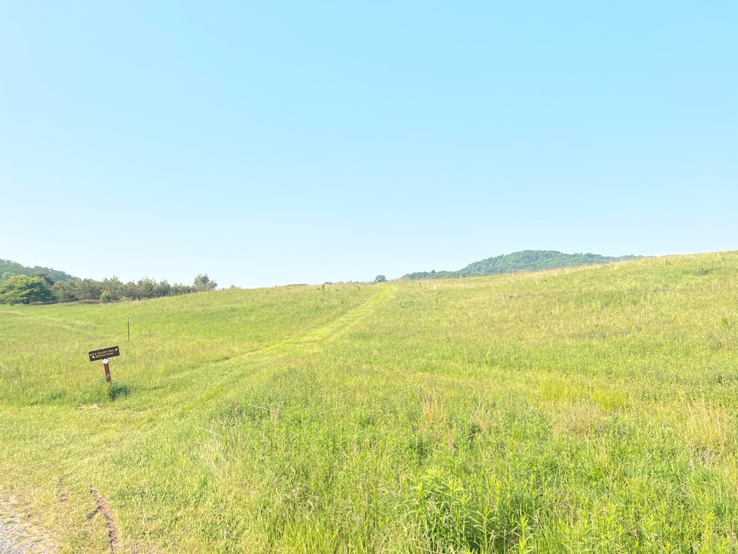 walking near me in Canaan Valley Resort State Park in winter