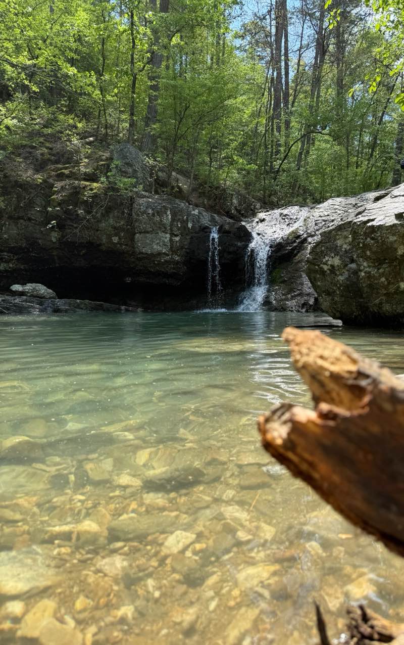 walking near me in Lake Catherine State Park in spring