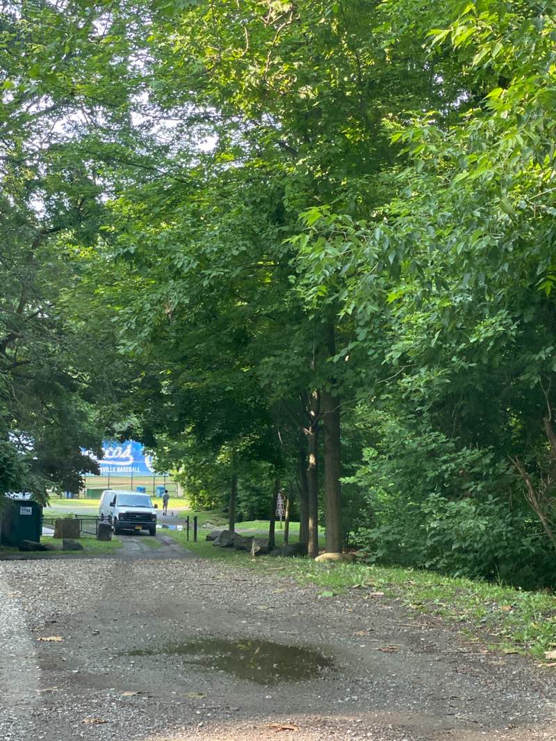 walking near me in Scout Field in summer