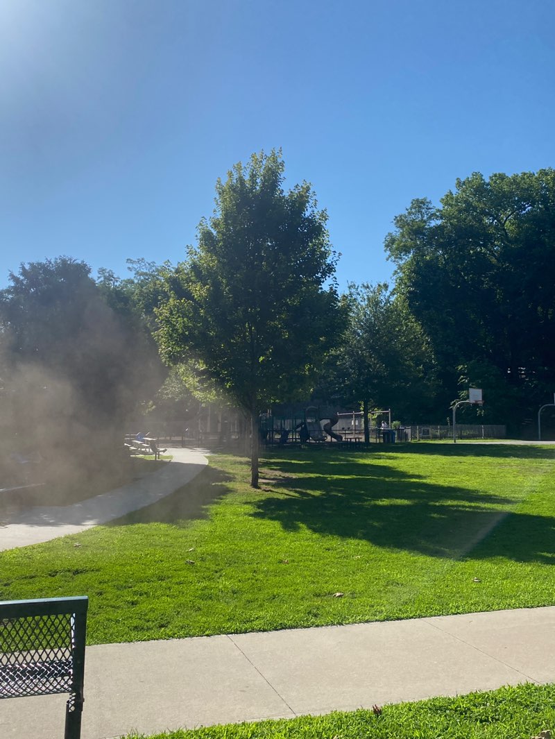 walking near me in Garth Road Park in summer