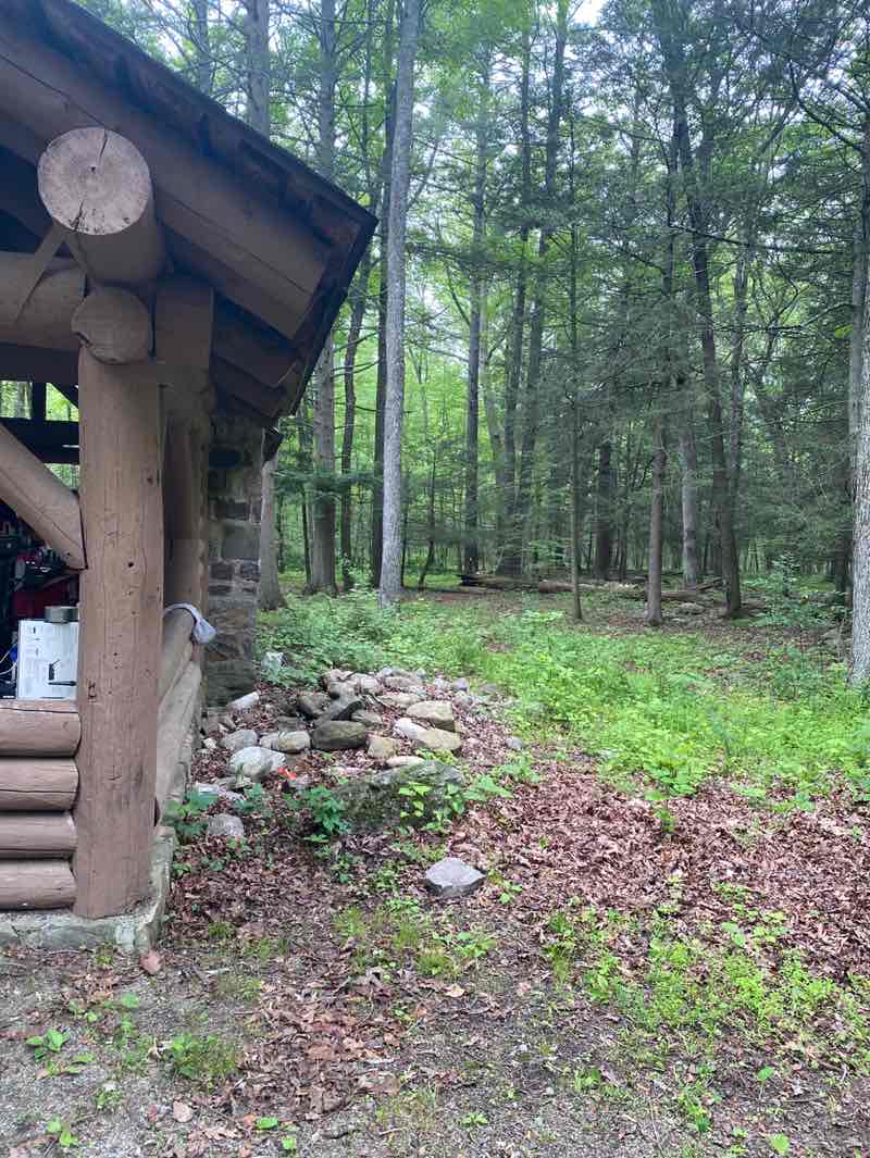 walking near me in Stokes State Forest in summer