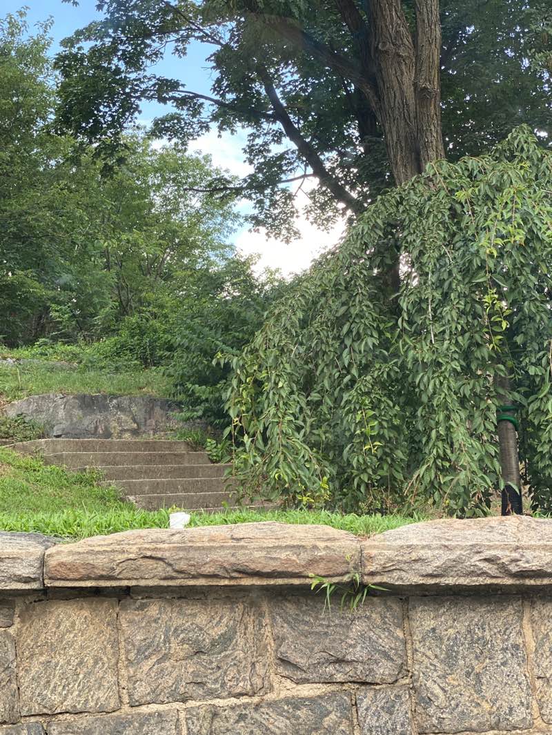 walking near me in Cochran Park in autumn