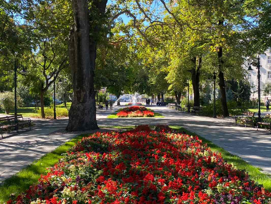 walking near me in Дондукова градина in autumn