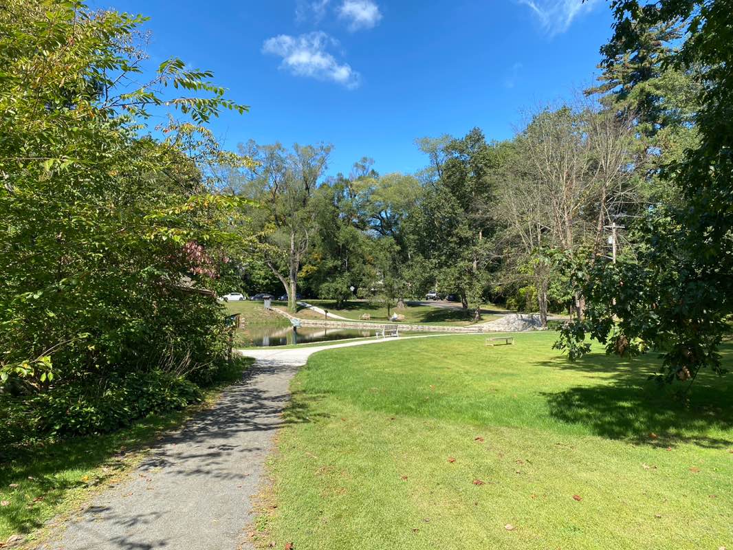 walking near me in Harwood Park in autumn