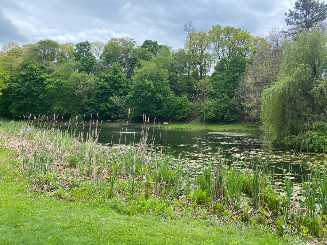 walking near me in Duck Pond Park in spring