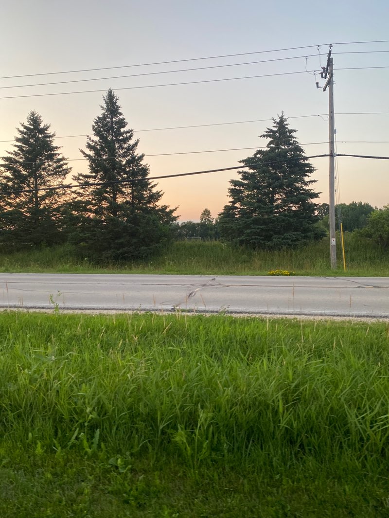 walking near me in Dhaliwal Soccer Park in summer