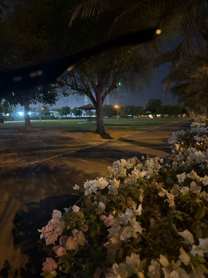 walking near me in Al Jurf Park in autumn