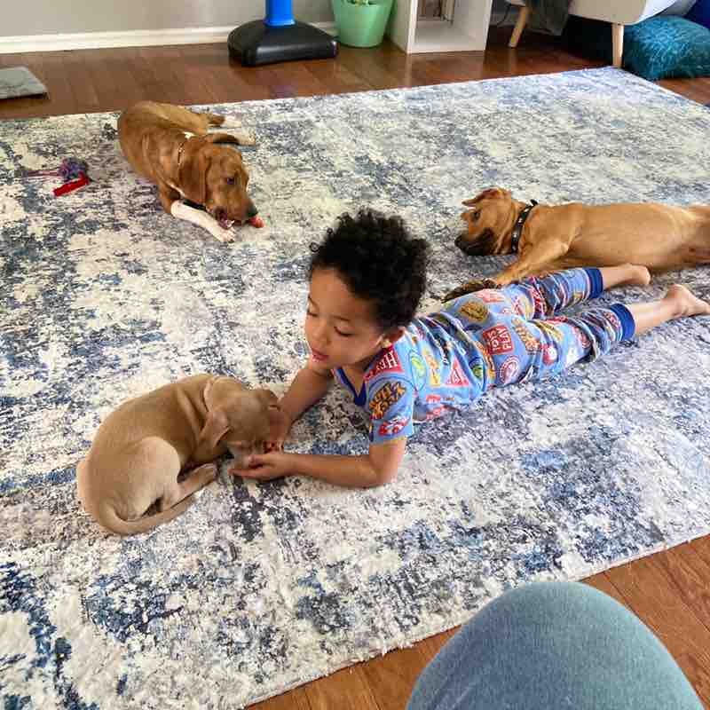 Marianne Cincinat post 1