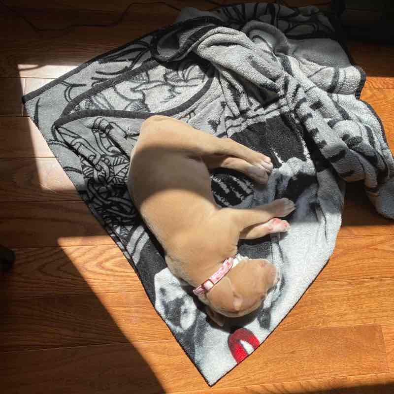 Marianne Cincinat post 3