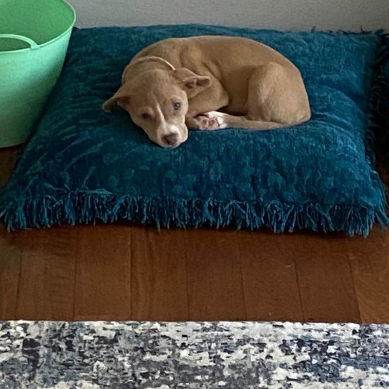 Marianne Cincinat post 2