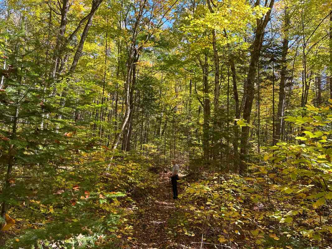 walking near me in Parc national de la Mauricie in winter