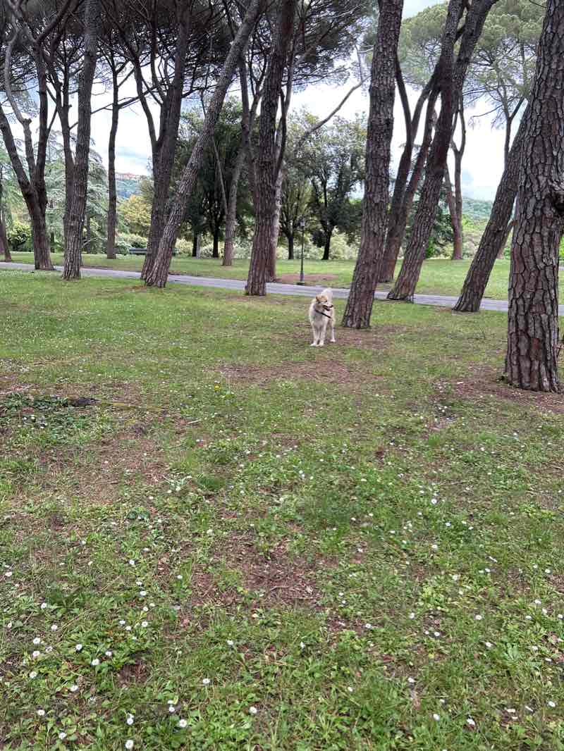 walking near me in Parco Termale in winter