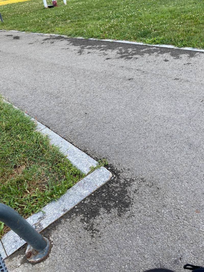 walking near me in Parcul Central Dudu in winter