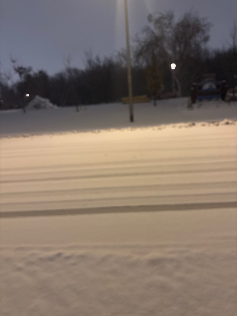 walking near me in Parc du Centenaire in autumn