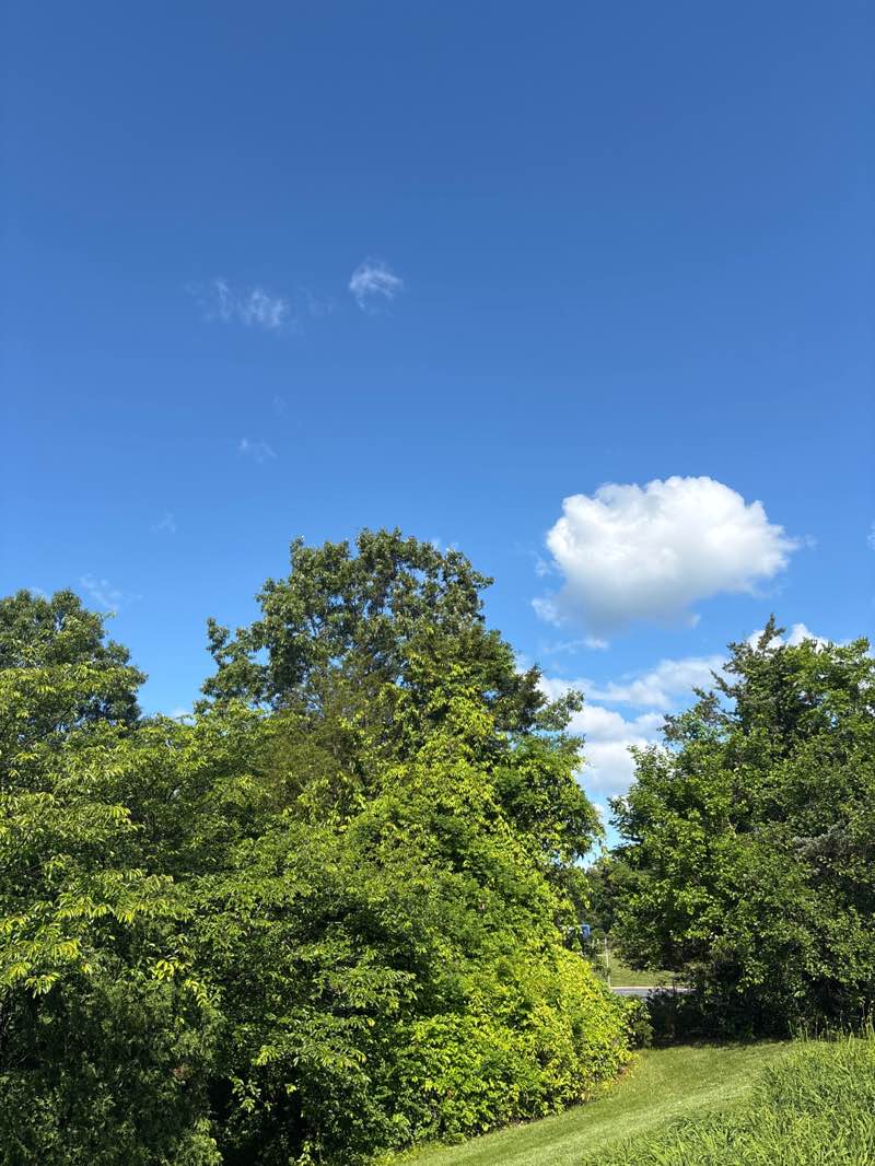 walking near me in Stone Crossing Park in spring