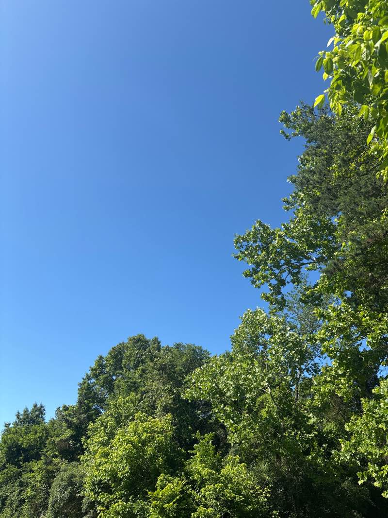 walking near me in Pleasant Hill Park in spring