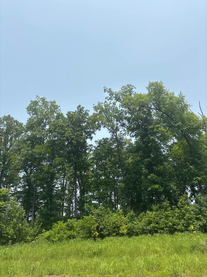 walking near me in Ellanor C. Lawrence Park in summer