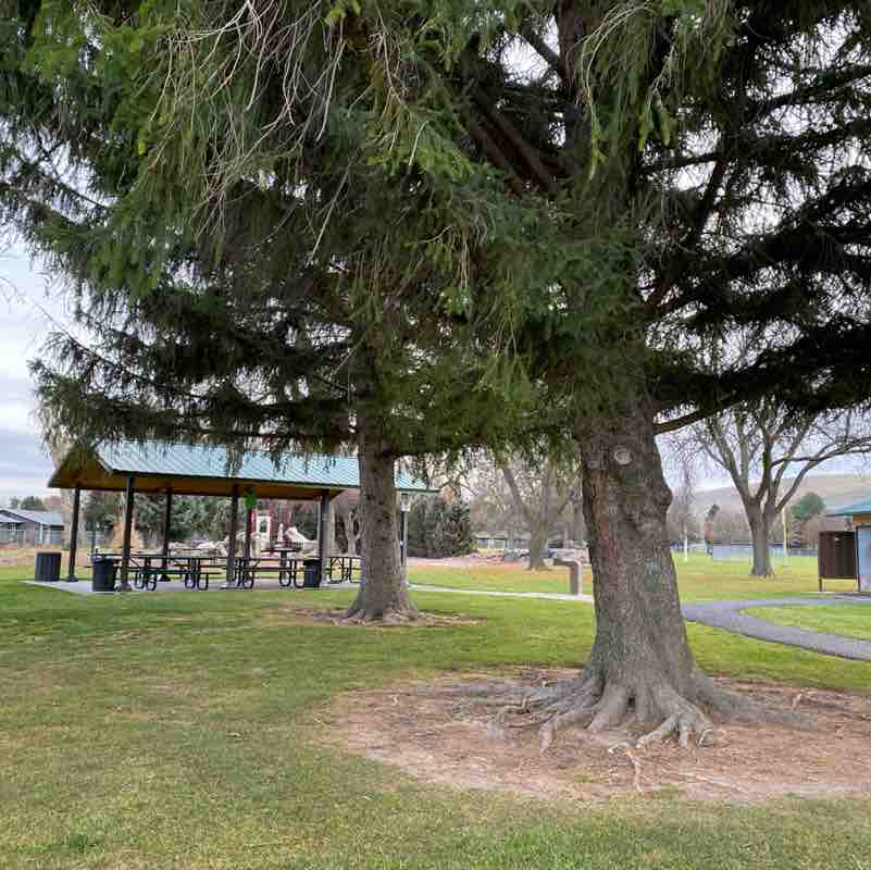 GreasyVarmint post 1