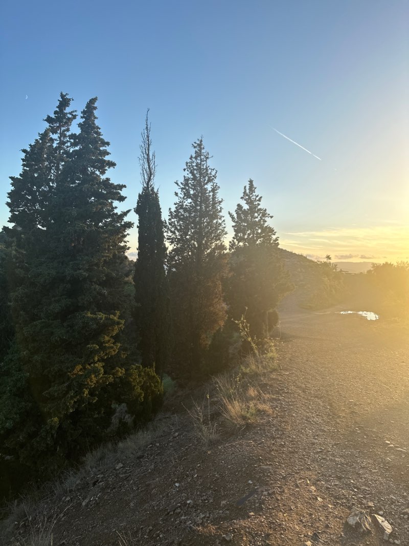 walking near me in Club Ciudad Diagonal in winter