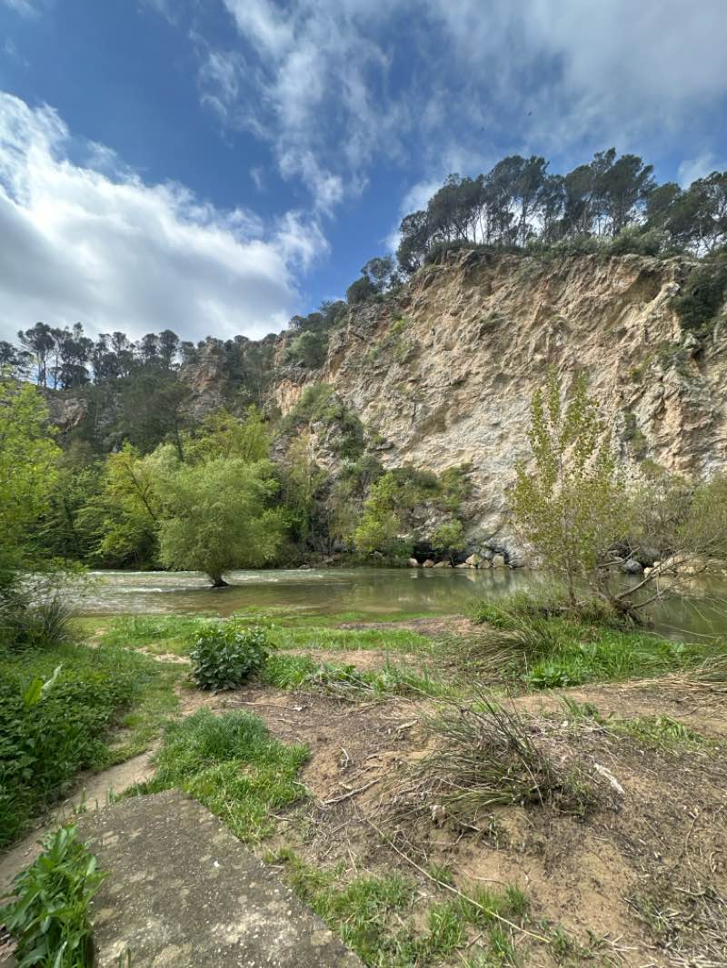 walking near me in Los llanos in spring