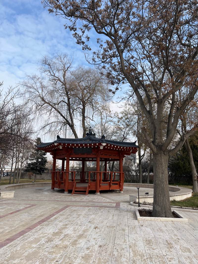 walking near me in Kore Şehitleri Anıtı in winter