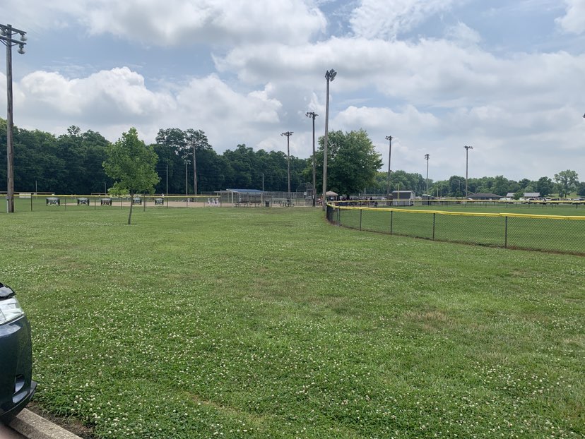 walking near me in Rice Fields in summer