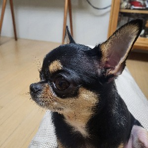 3조_황주연 profile