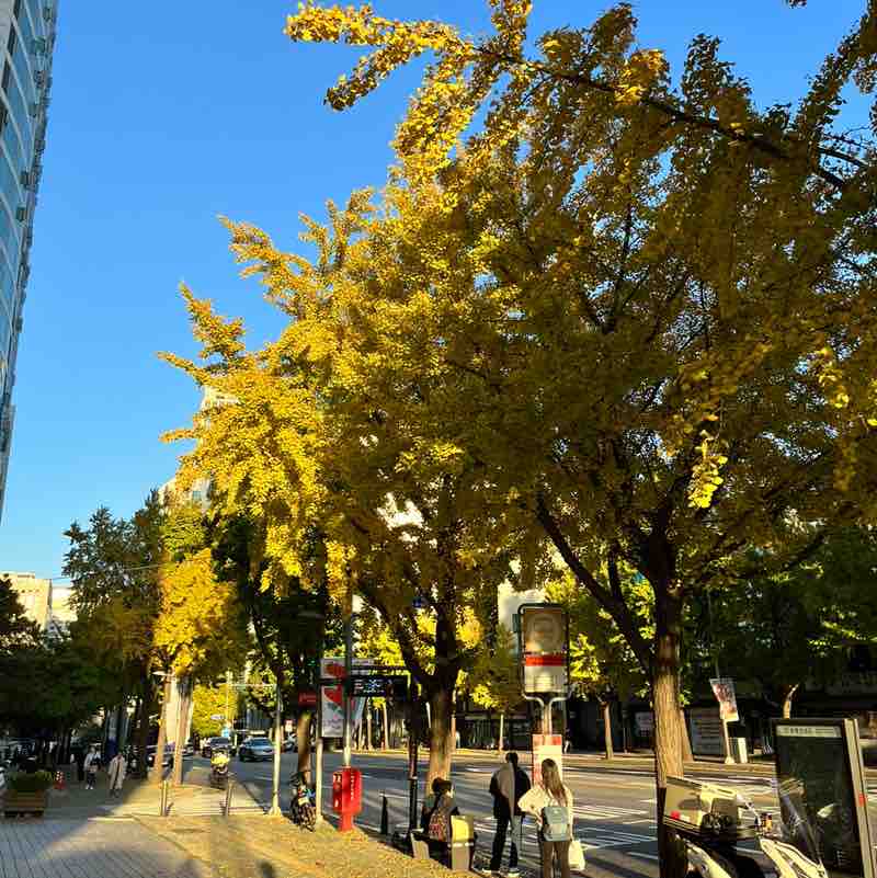 SKI SHE부문 1조_박진주 post image