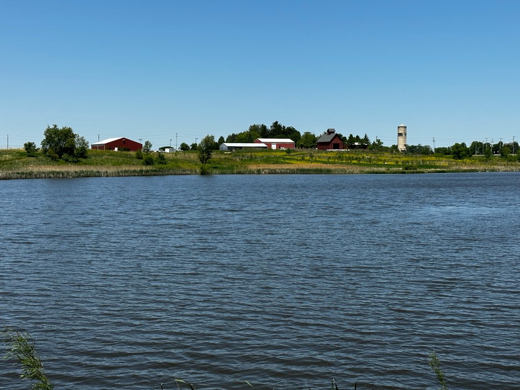 walking near me in Foundation Park in winter