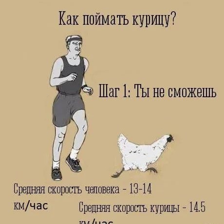 ходилка Ksenia post image