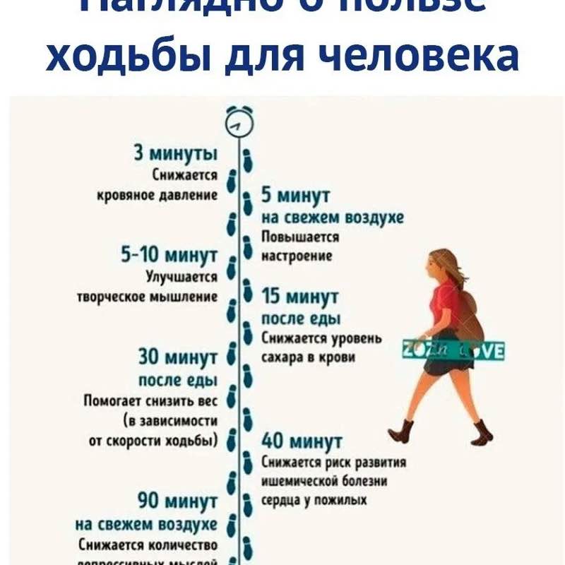 ходилка ходилка post image