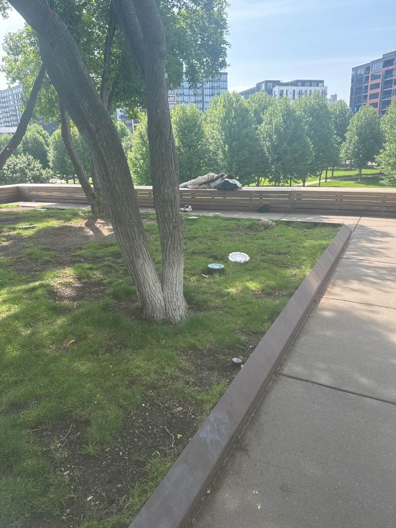 walking near me in Gold Medal Park in summer