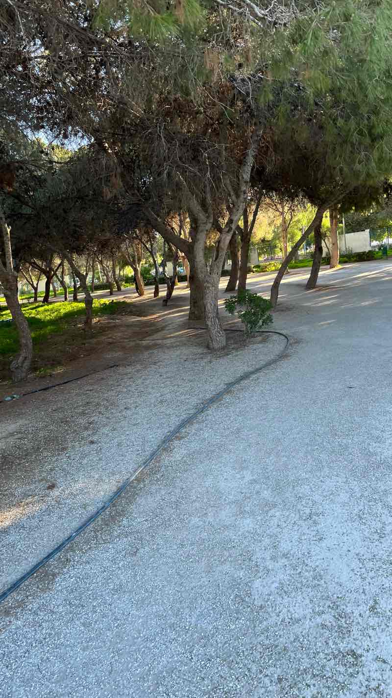 walking near me in Parcours de santé El Menzah 1 in winter